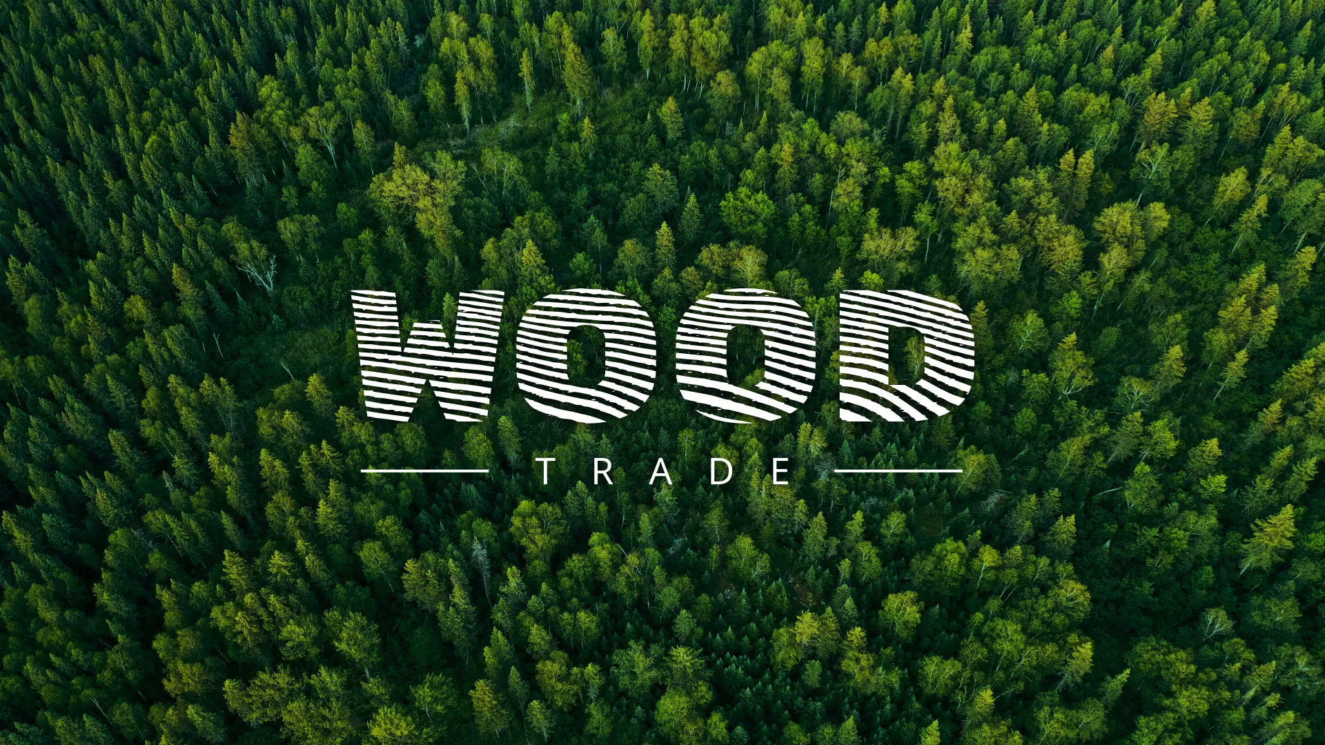 Разработка интернет-магазина компании «Wood Trade» в Кодинске